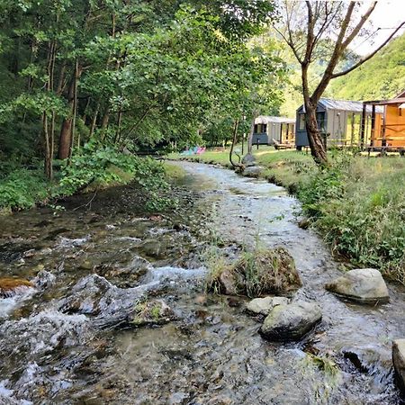 Transfagarasan River Retreat アレフ エクステリア 写真